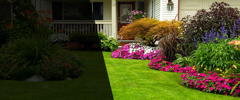 Jackson Heights Landscapers