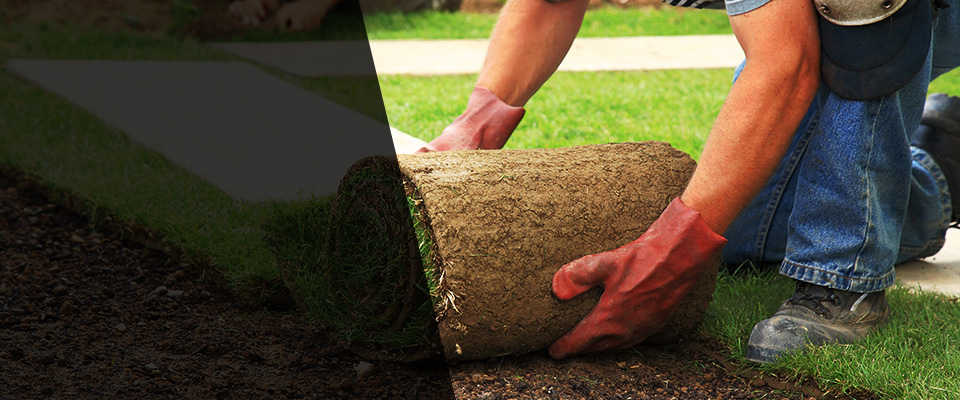 Jackson Heights Landscapers